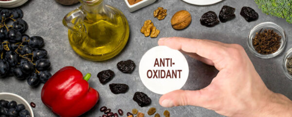 antioxydants